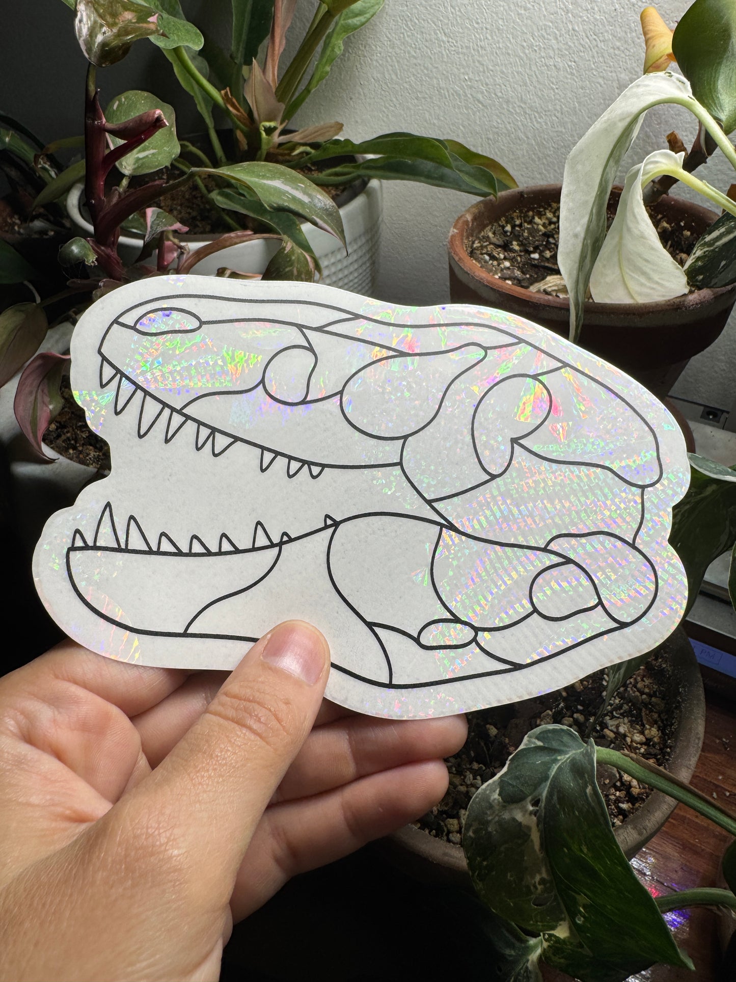 TRex Skull Prismatic Window Sticker