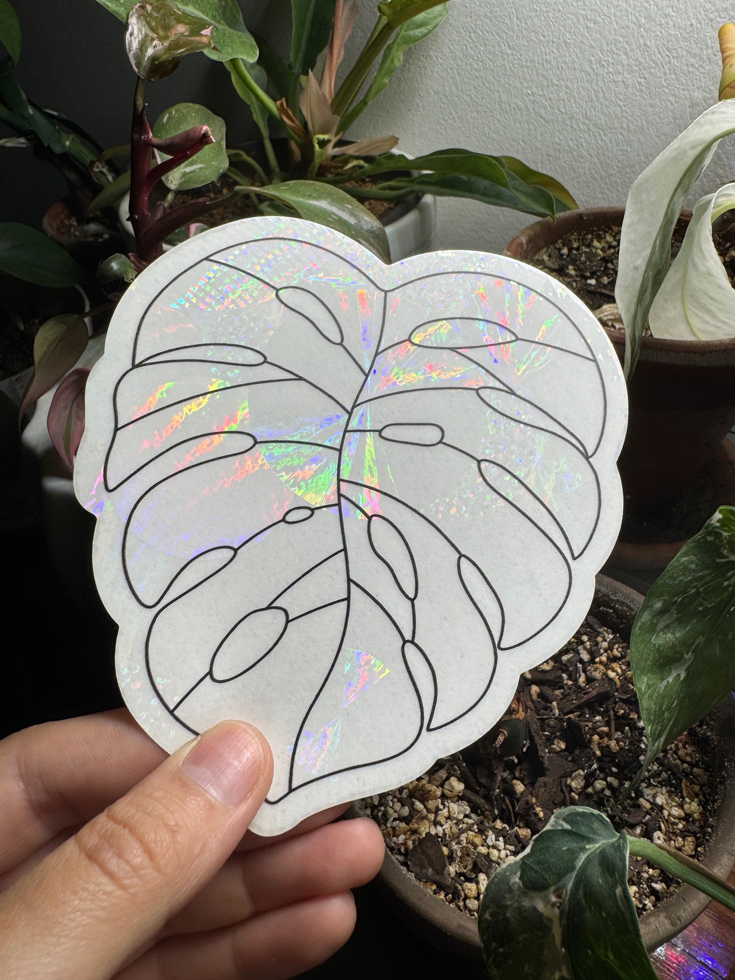 Monstera Prismatic Window Sticker