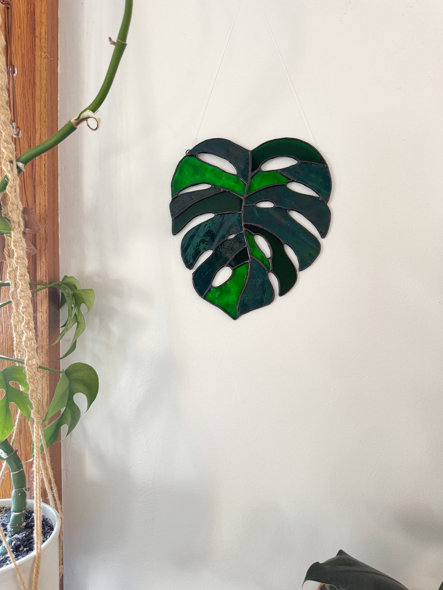 Monstera Leaf Suncatcher - Large