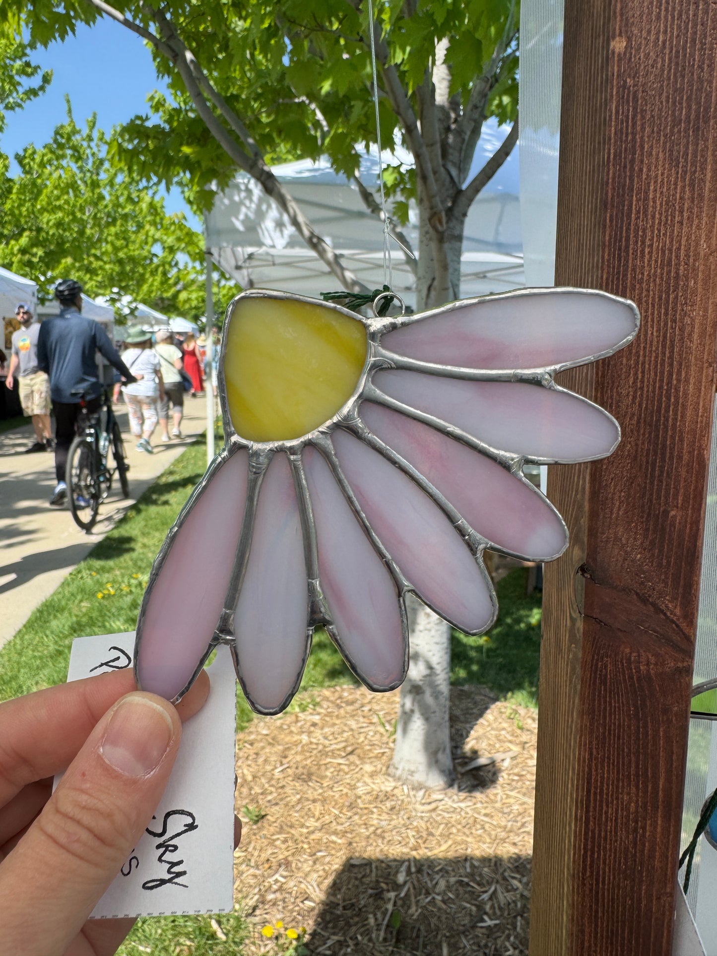 Cone Flower
