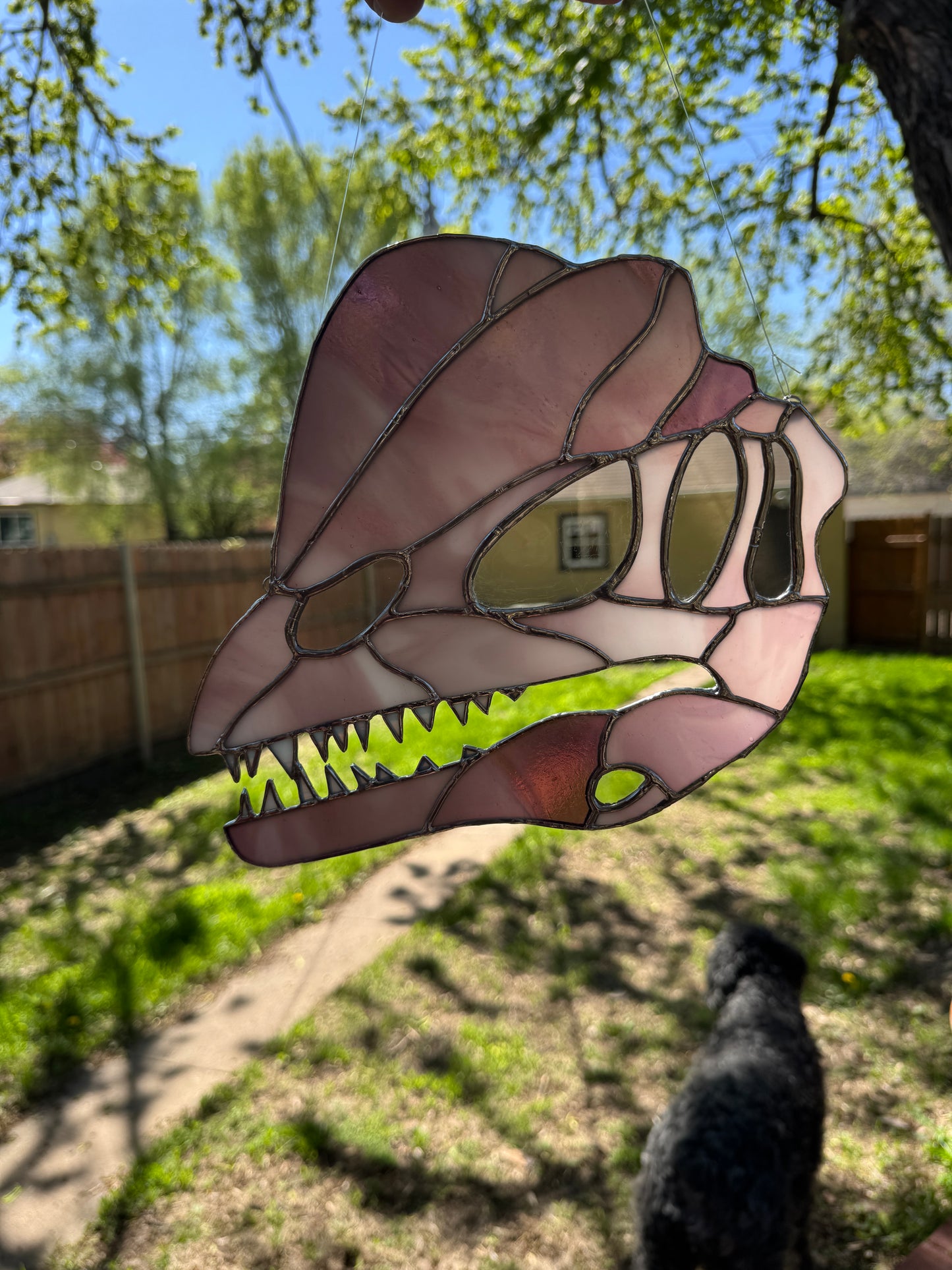 Dilophosaurus Skull Suncatcher