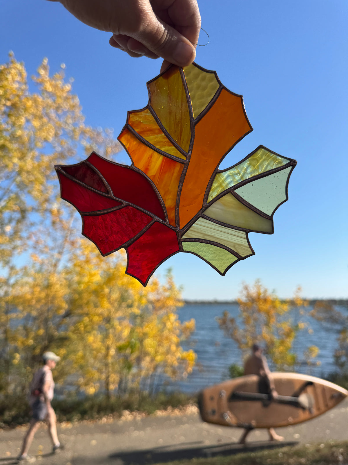 Maple Leaf