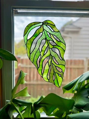 Monstera Andansonii Leaf Suncatcher