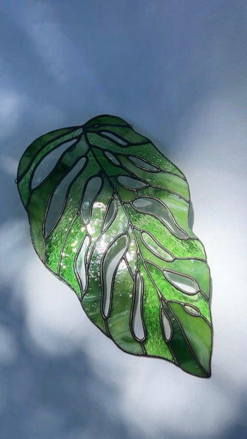 Monstera Andansonii Leaf Suncatcher