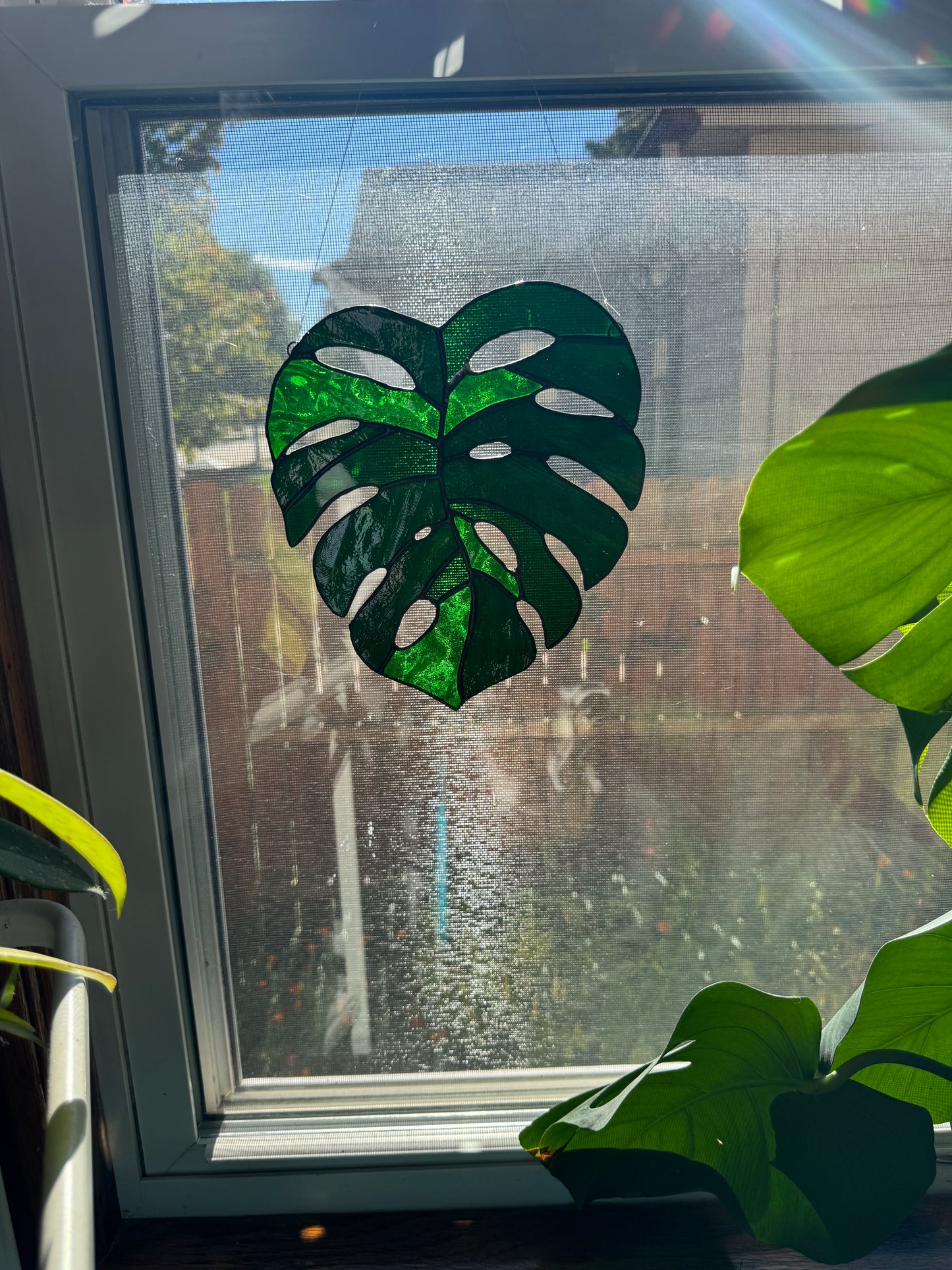 Monstera Leaf Suncatcher - Large