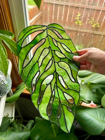 Monstera Andansonii Leaf Suncatcher