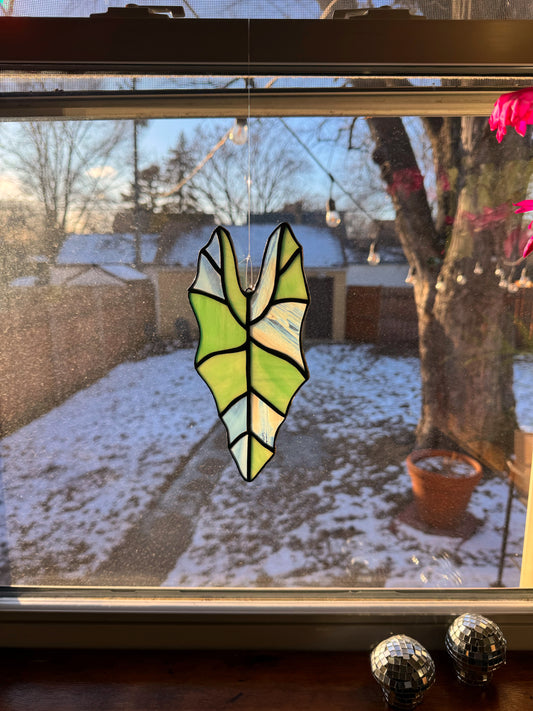 Alocasia Suncatcher